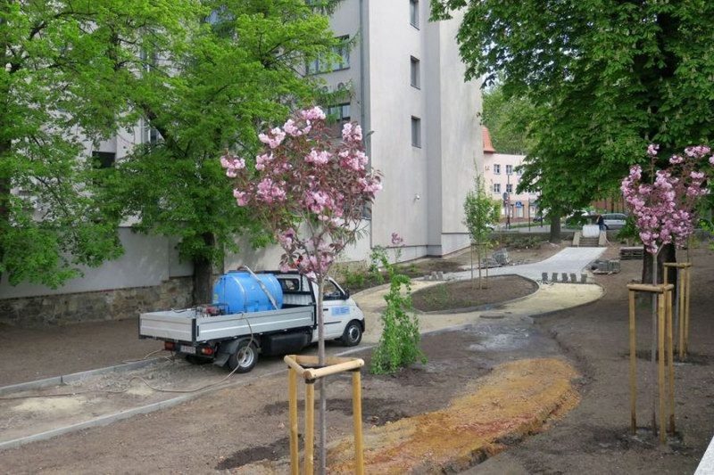 zdjęcie wyróżniające Parking przy ul. 3 Maja w Rybniku zamienia się w kwitnący skwer